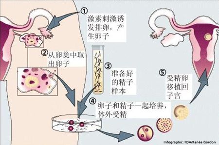 首席专家