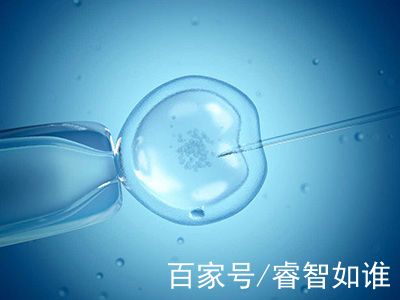 遗传咨询专家