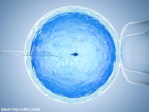 遗传咨询专家